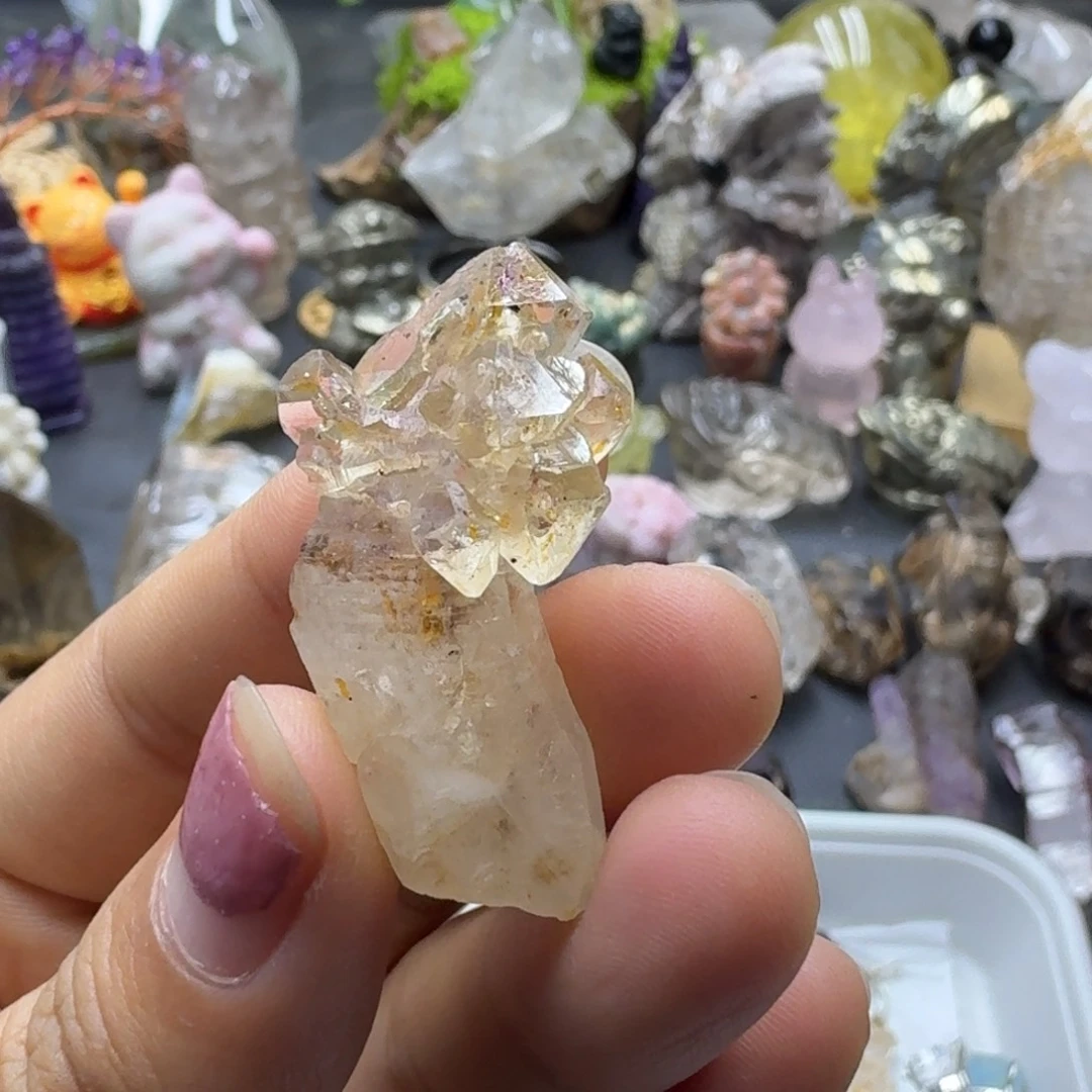 石材油胆红泥骸骨米米树