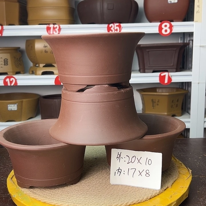 花盆紫砂你在一起