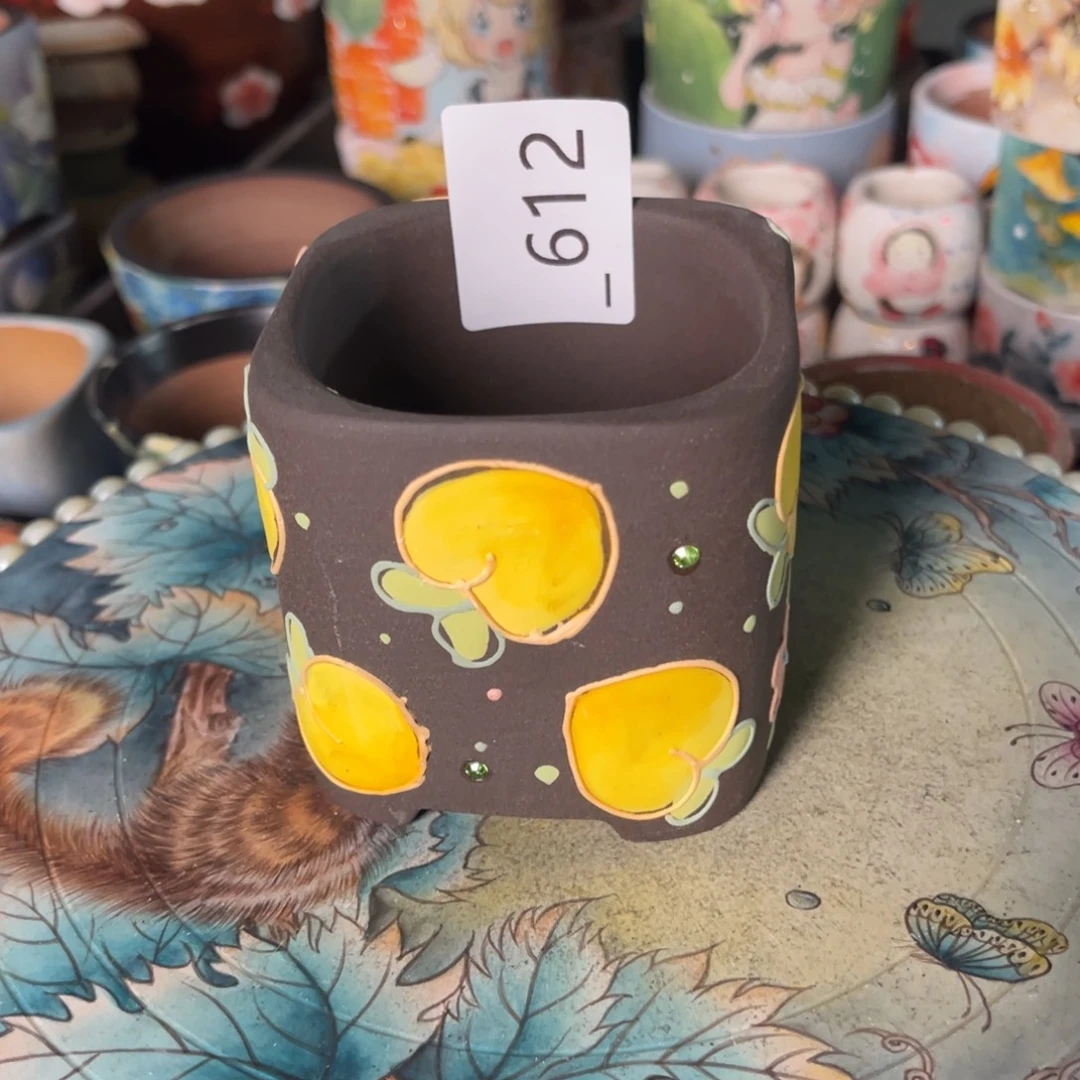 K***e612多肉花盆35元1个