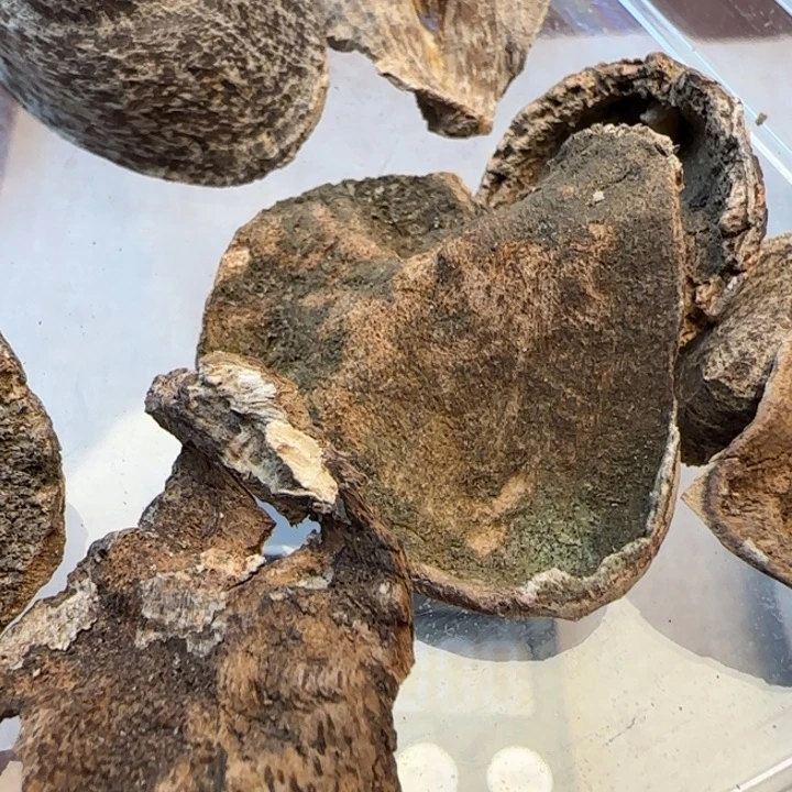 沉香摆件海南野生壳子5克