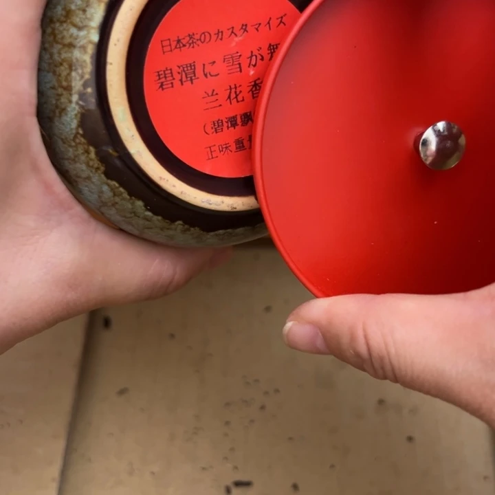 塑料哈哈哈66666