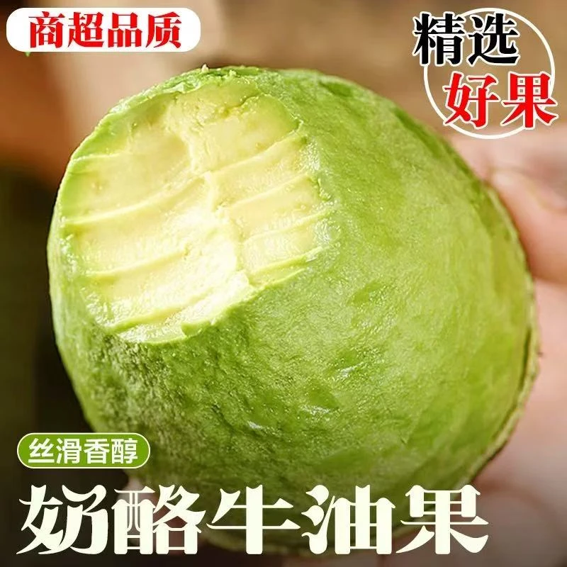 秘鲁新鲜进口牛油果6/8粒装（单果100g-160g）绿色榨汁变软食用