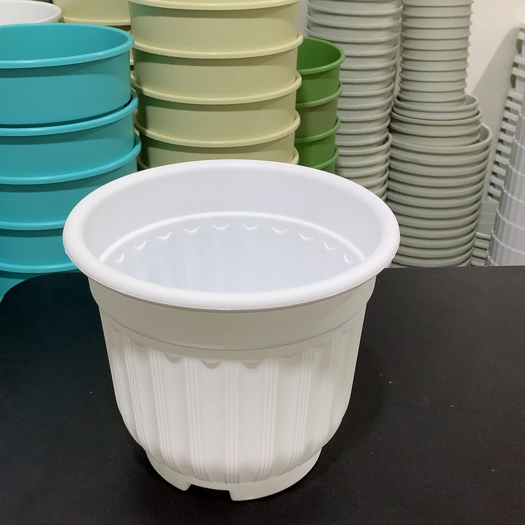 树脂罗马口21白5个带托