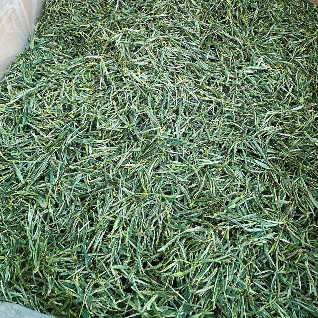 【新店特惠】2025口粮绿茶黄山毛峰新茶春茶原产浓香耐泡自喝送礼