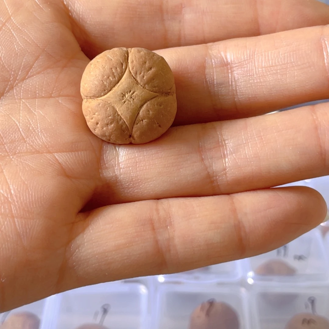 麒麟眼菩提吊坠胡**?7@8661，21➕麒麟