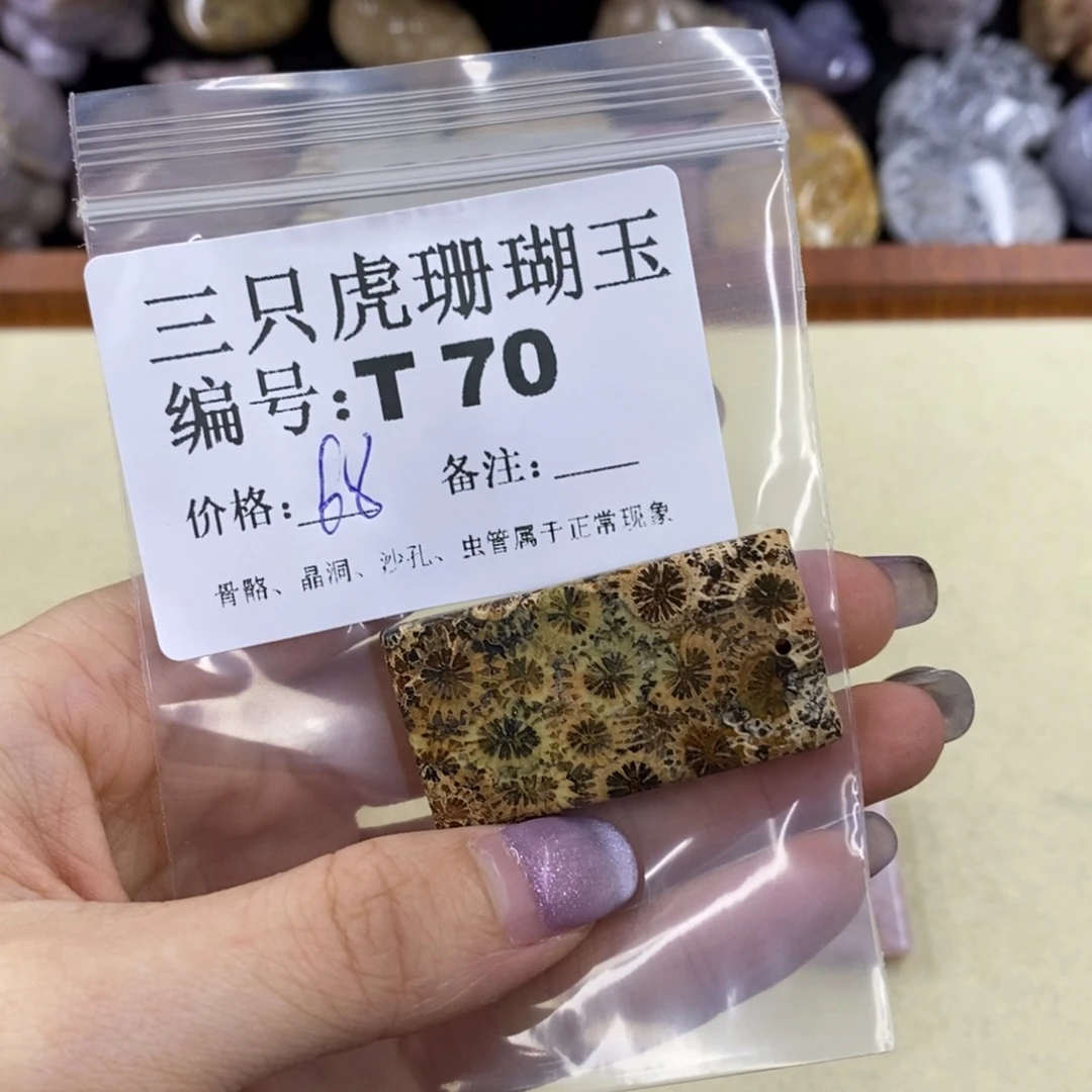 硅化珊瑚（珊瑚玉）1未镶嵌D****必
