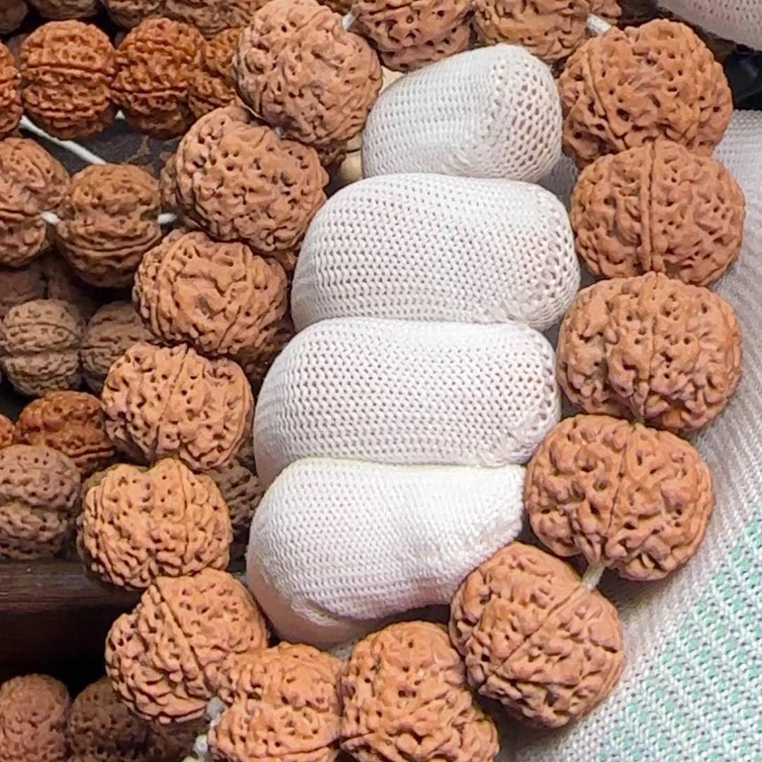 菩提金刚菩提22豆腐块梅花