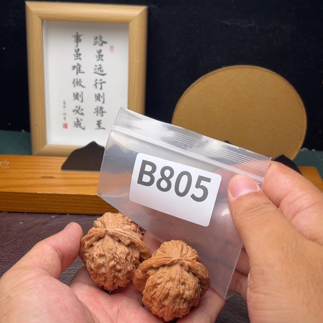 把件文玩核桃43白狮子b805