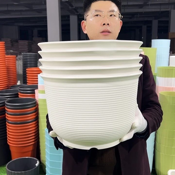 正品矮陶口36高25白色3只带托