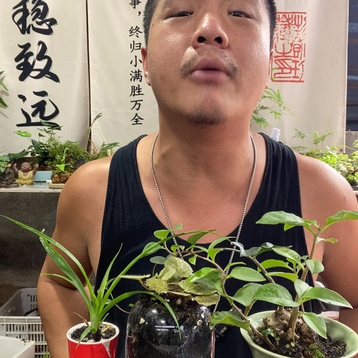 无花朵退款拉黑拉黑22