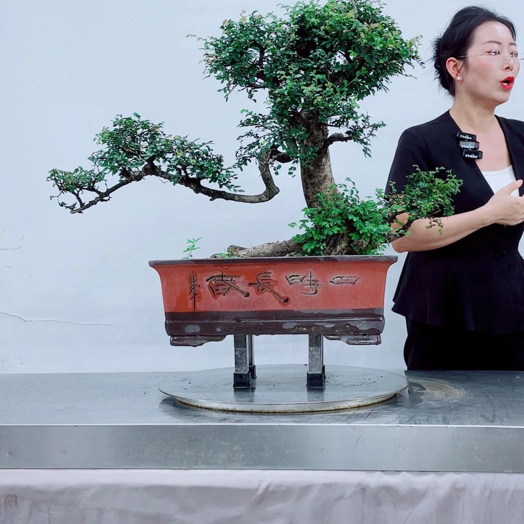 无花朵华*岭南文化艺术中心的