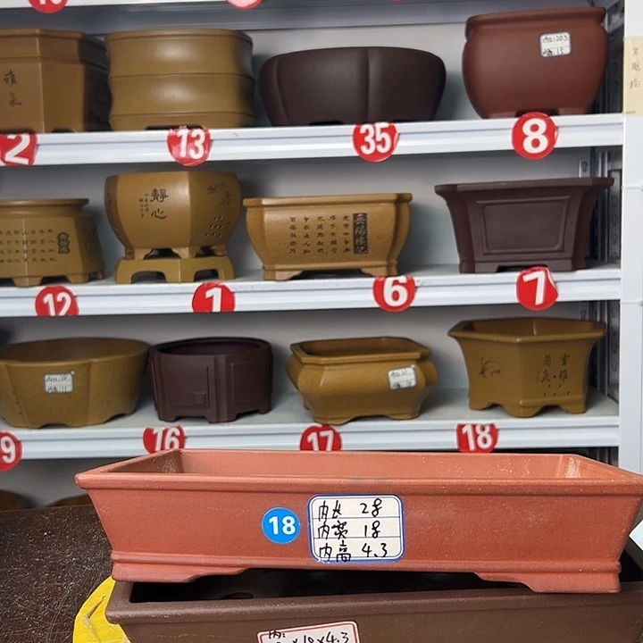 花盆紫砂你在一起