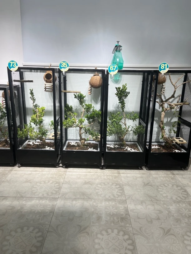 （加高款）不锈钢生态鸟笼