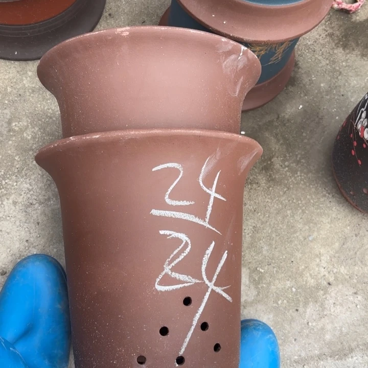 花盆紫砂紫砂的花