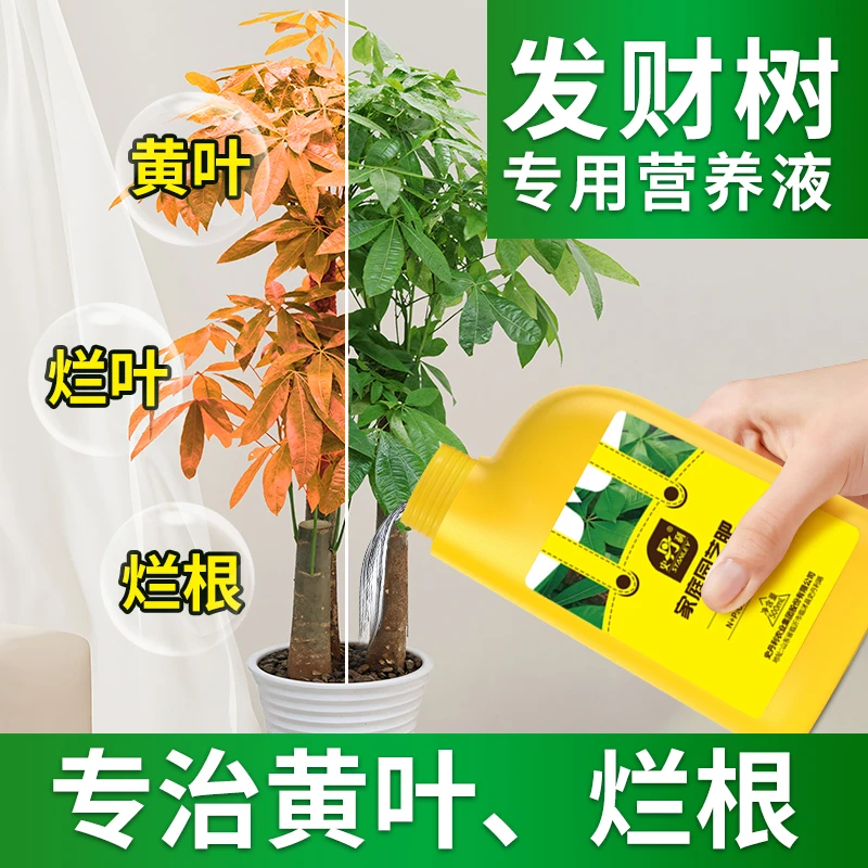 史丹利发财树营养液专用肥治黄叶枯叶烂根室内盆栽盆景通用水溶肥