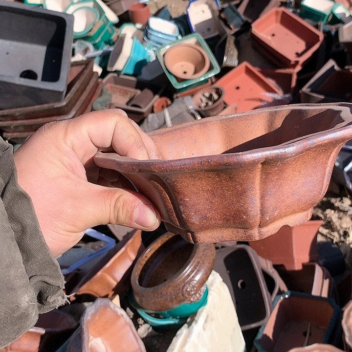 紫砂哈哈真的是太给力太火爆了