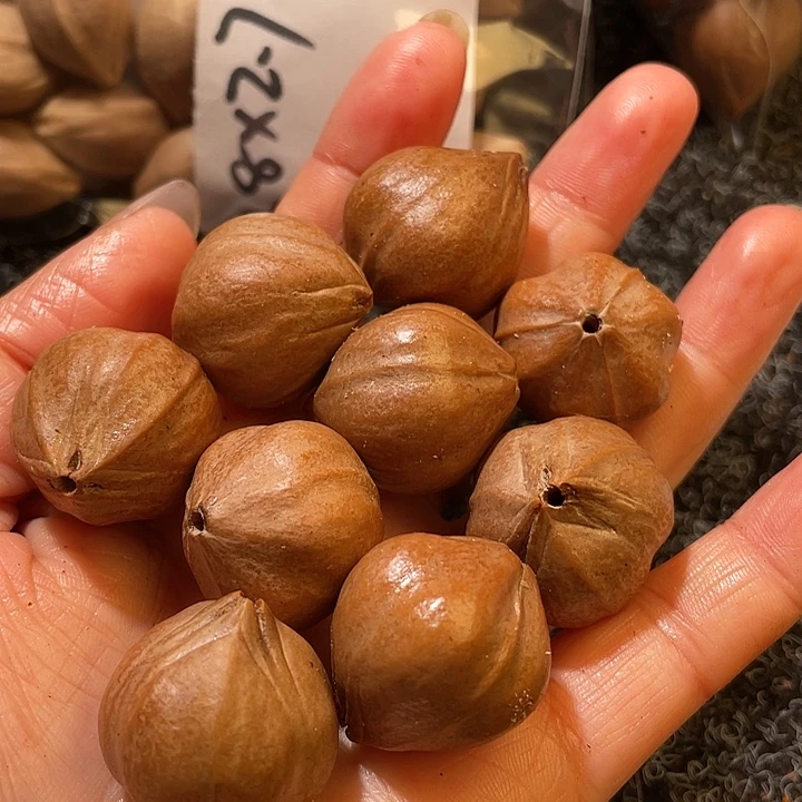 潜***艇橄榄核吊坠2.3✖️2.6