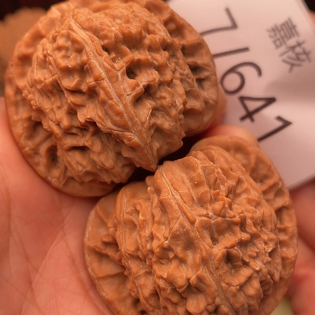 文玩核桃把件45白狮子卡姿兰大眼睛