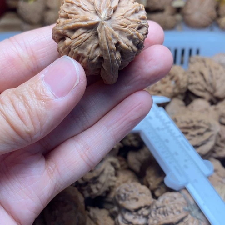 彭***文玩核桃把件文玩