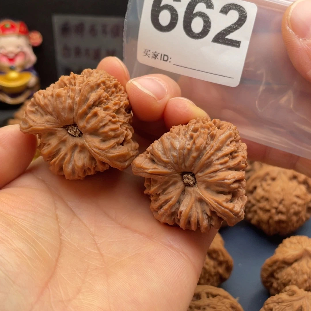 哒***哥把件文玩核桃南疆对龟41