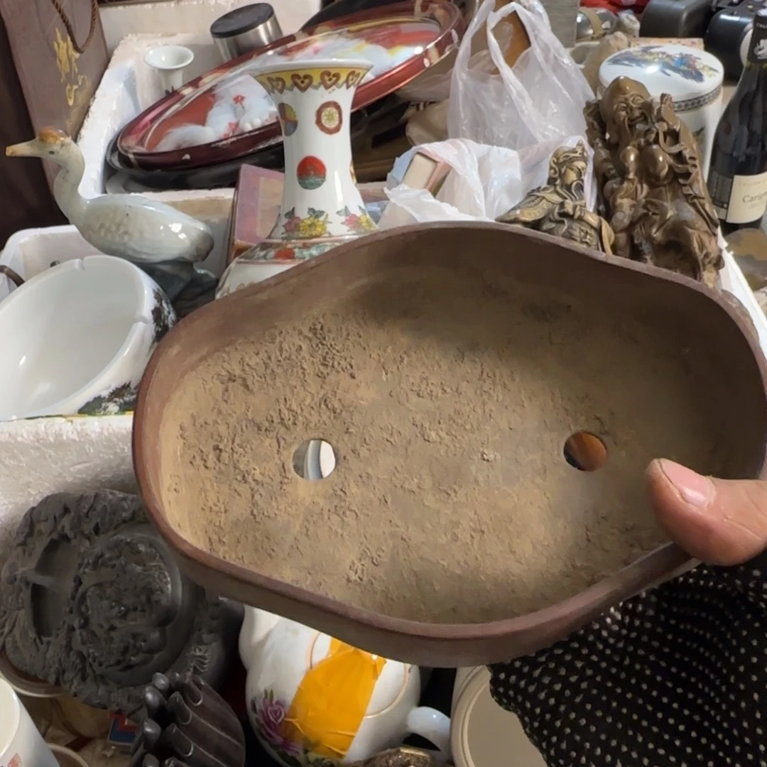 新***歌杂色豆（科檀/科特迪瓦檀木）