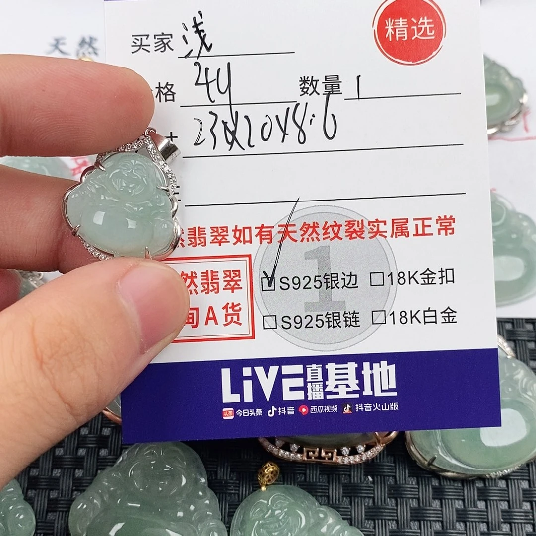 浅****翡翠银S925镶嵌颈饰