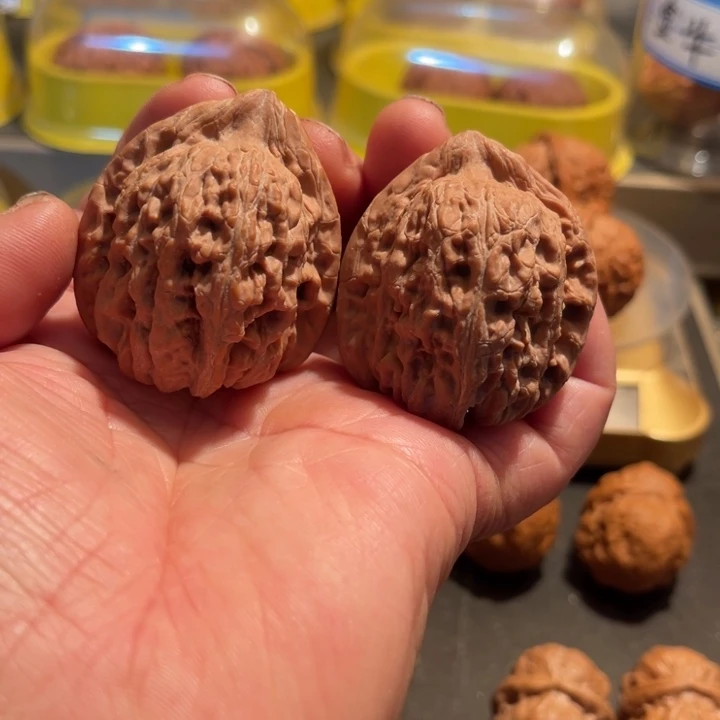 文玩核桃把件野生赤龙全品40