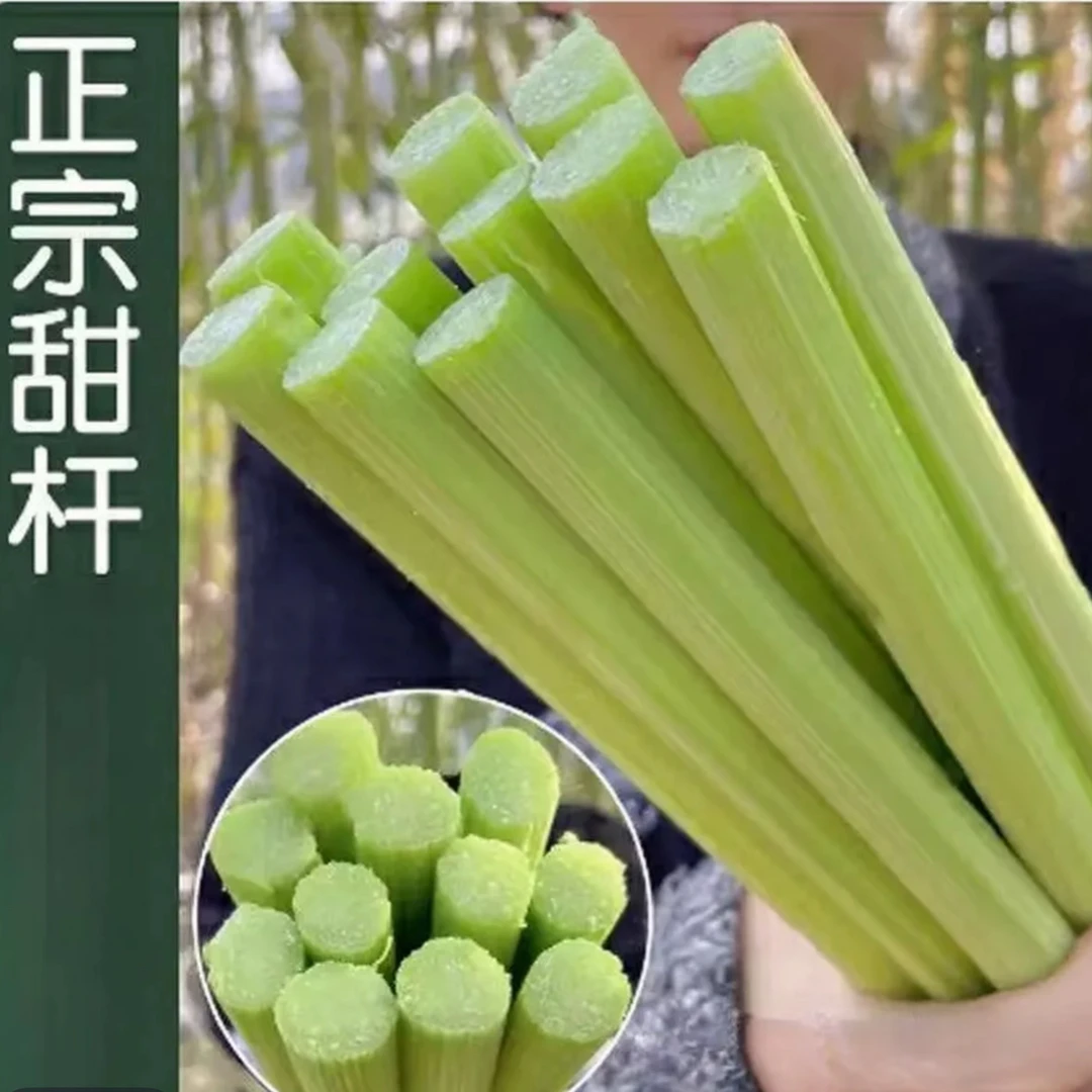 东北新鲜甜杆甜芦粟青皮小甘蔗清香可口顺丰冷链现砍现发