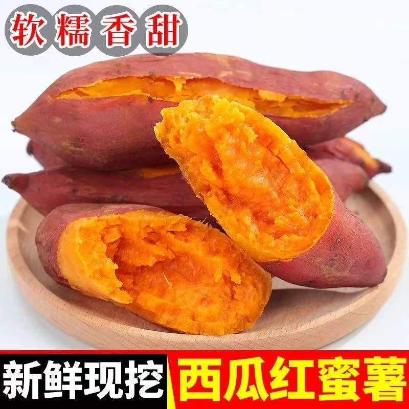 河北.现挖红薯煮.烤.蒸.正宗西瓜红蜜薯新鲜现挖软糯香甜沙地番薯