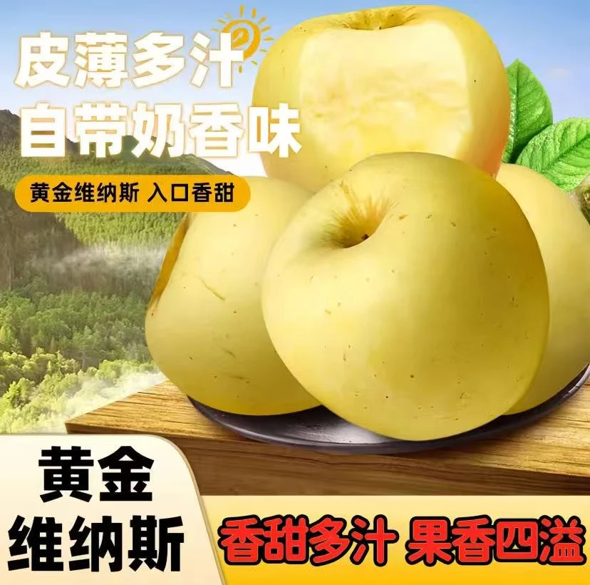 【高端年货礼品】正宗维纳斯苹果烟台奶油富士苹果冰糖心苹果