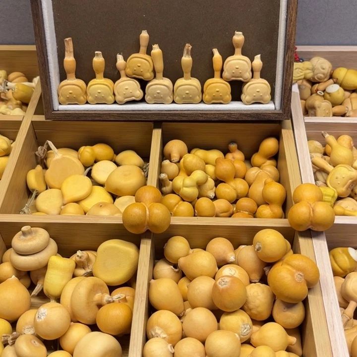 双****爱葫芦888葫芦