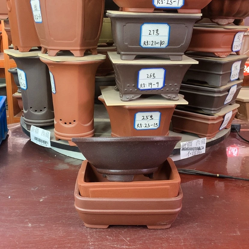 【闪购商品】紫砂伍*伍