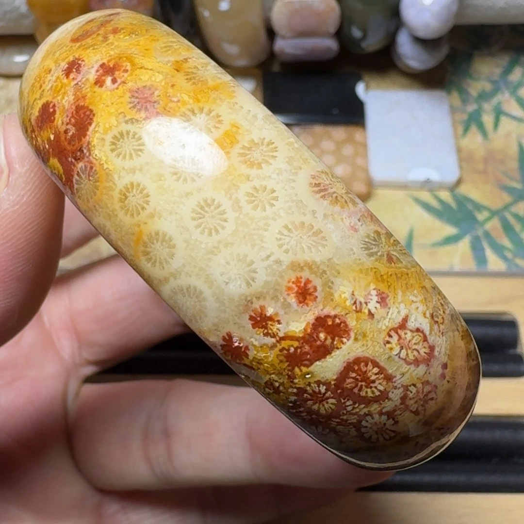 硅化玉纯天然有机玉石保真色未镶嵌54.5圈口