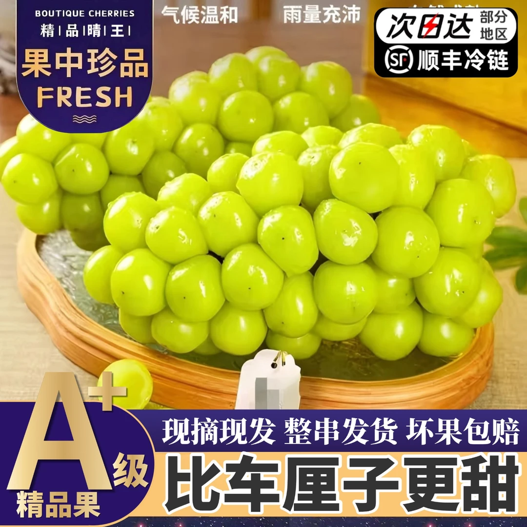 顺丰次日达【5斤大果整箱】精品阳光玫瑰葡萄当季新鲜现摘现发3/5斤