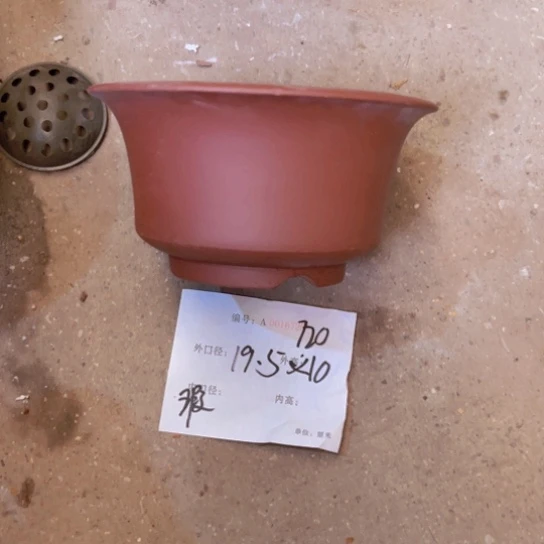 花盆紫砂紫紫砂盆