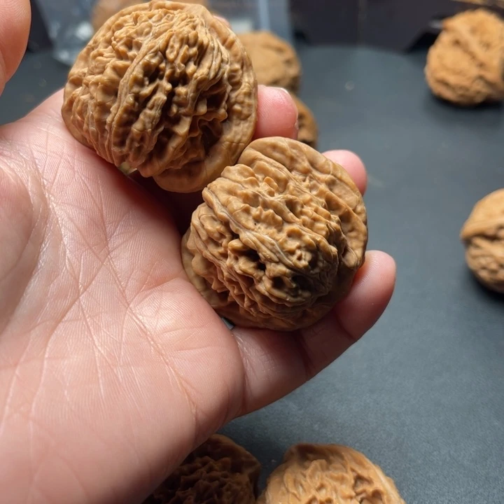 浅***浅全品无修43四座楼