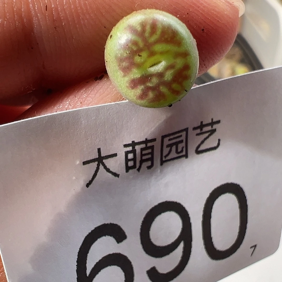 0000690 一物一拍……