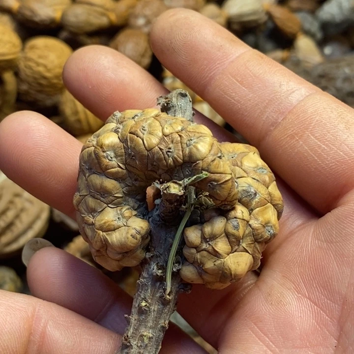 吊坠桃核东北特产38