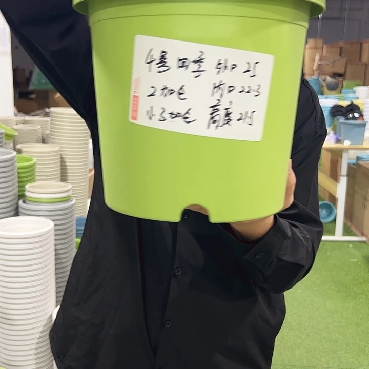 特价4号口25高21.5果绿色8只无托