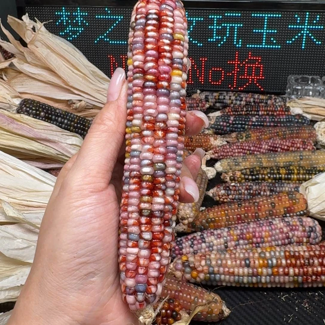 柏香籽/百香籽吊坠亚**?