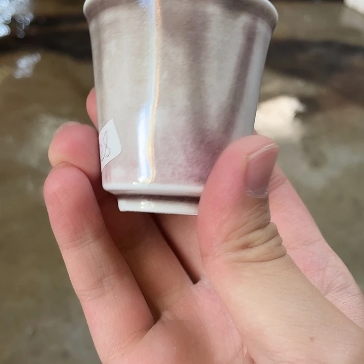 ****艳杯。