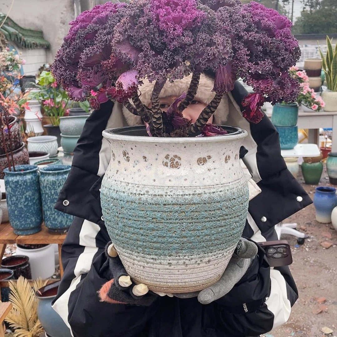 红陶王嫂花盆0201-428