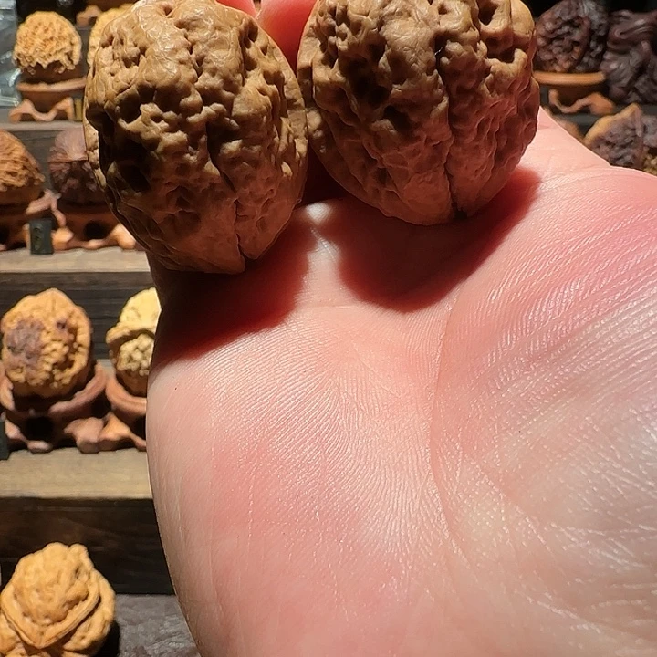 核桃双龙疙瘩包41尺