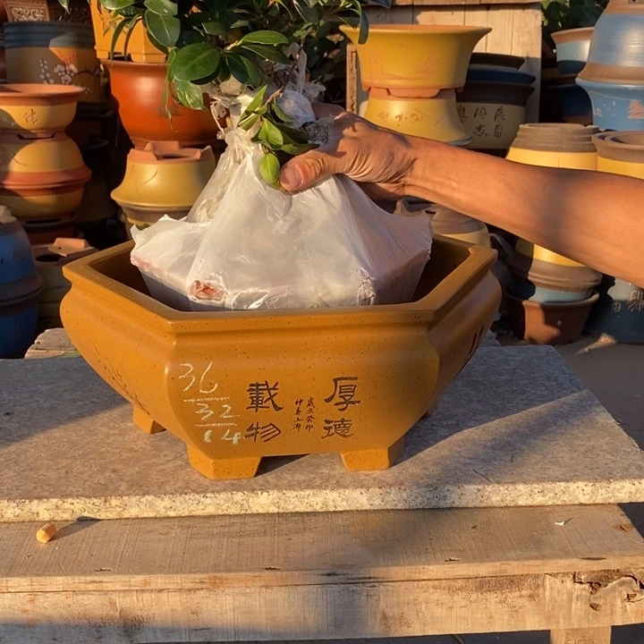 花盆紫砂紫砂特价包邮
