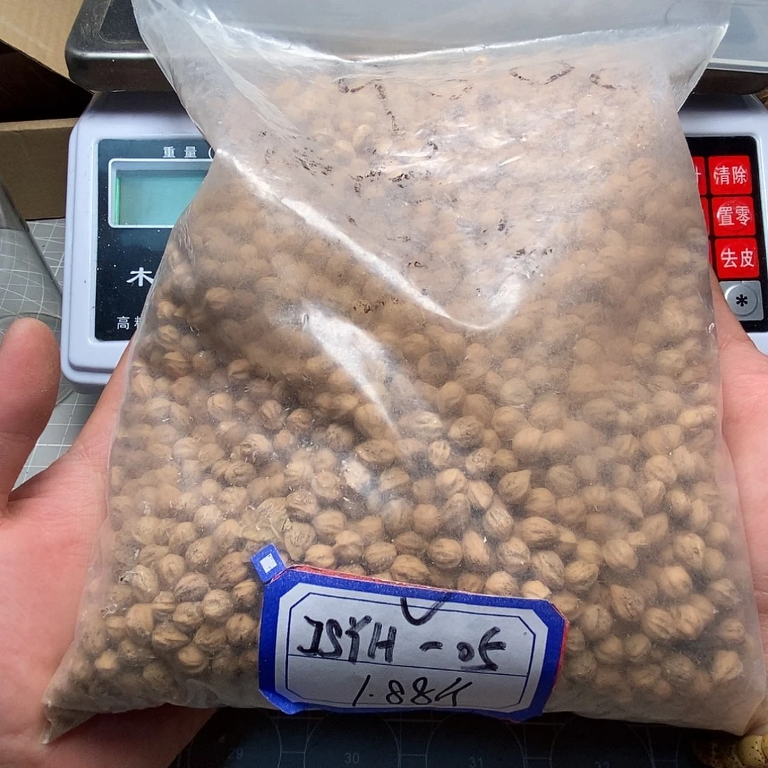 柏香籽/百香籽吊坠