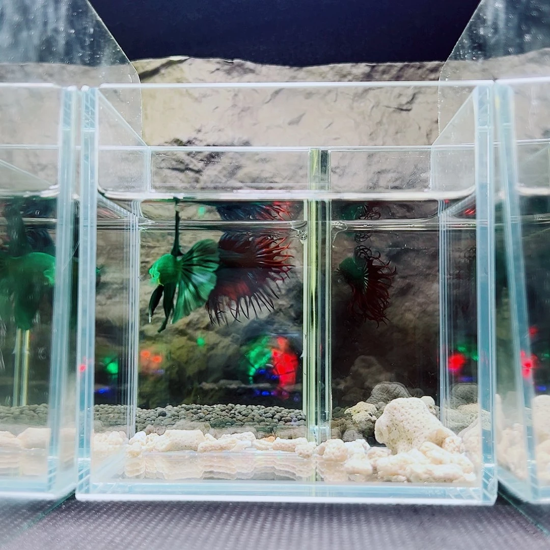 斗鱼精品精品精品精品