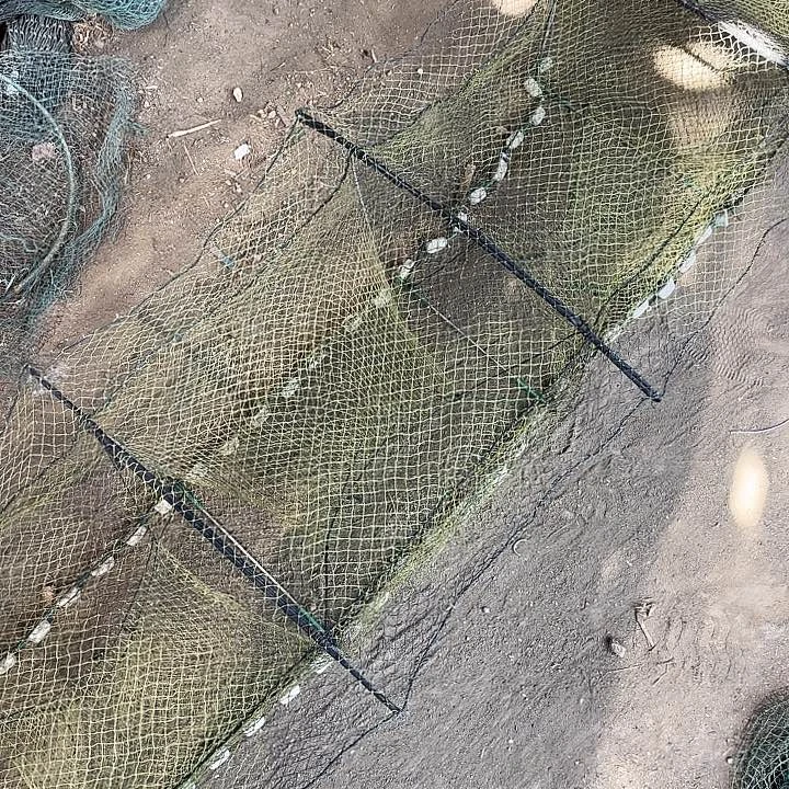 仔***波虾笼。 混搭1555551155