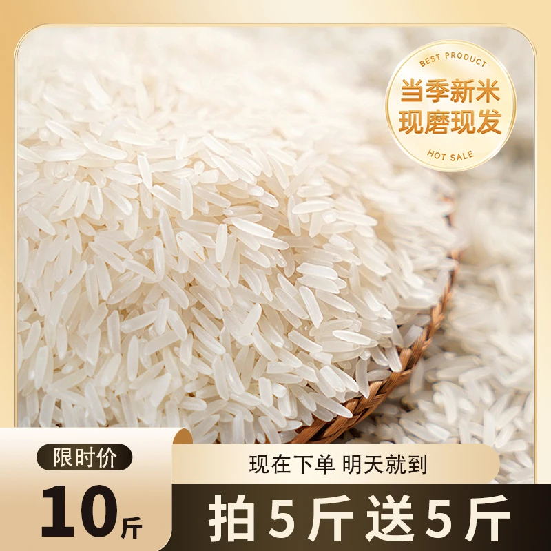 【拍5斤送5斤】猫牙米长粒香米软糯香甜24年新米现磨现发丝苗米不抛光非真空A包谷饭大米