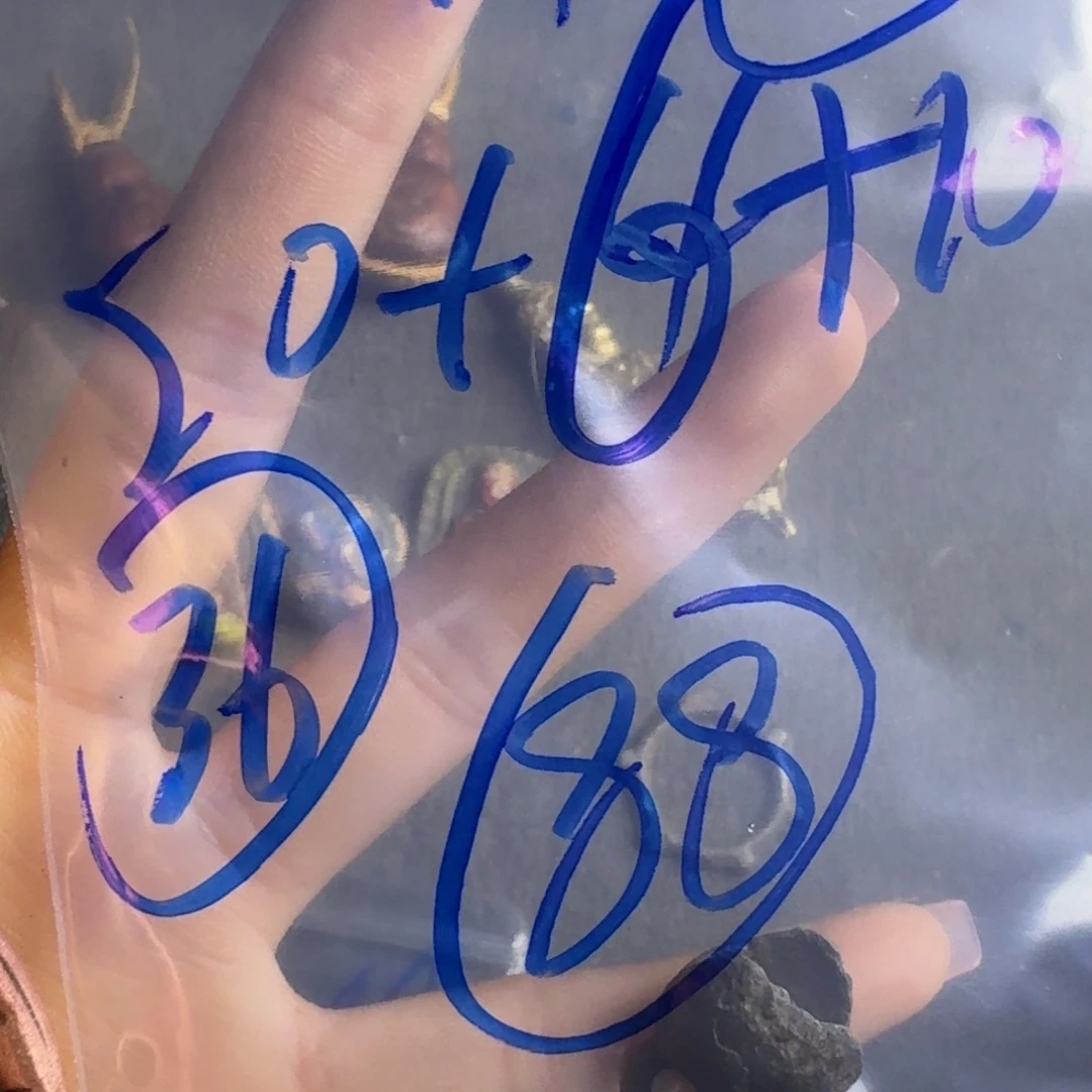 小***Y工艺品工艺品随机发货