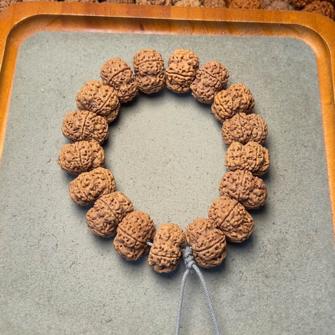 菩提16号金刚菩提梅花夹板23